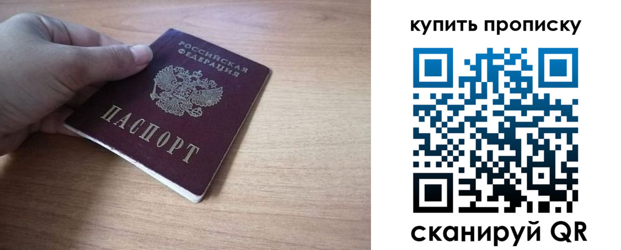 прописка поиск в Йошкар-Оле